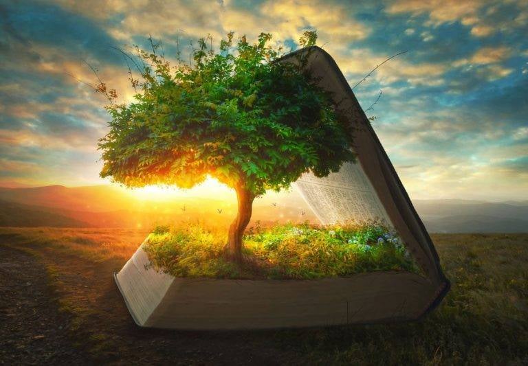 Formation énergétique et spirituelle