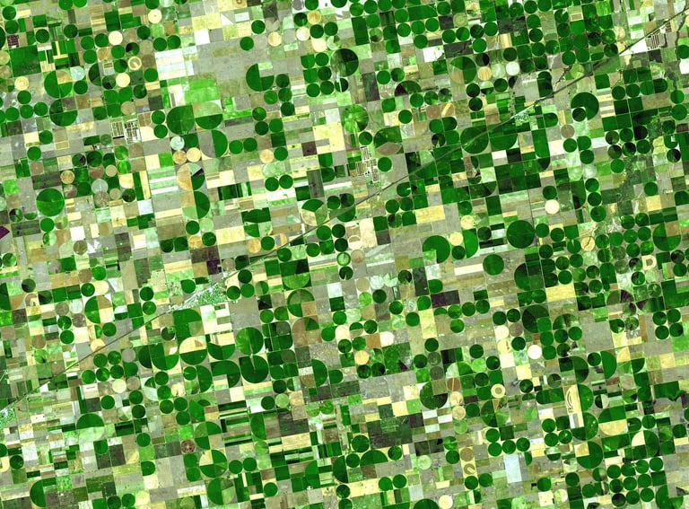Satellite image of crop circles in Texas