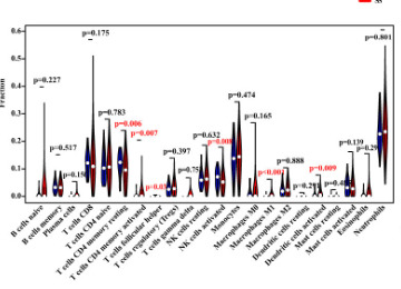 Esempio di grafico analitico 