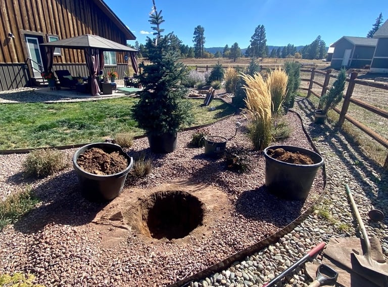 Earthly Elevations tree planting in Pagosa Springs, Colorado