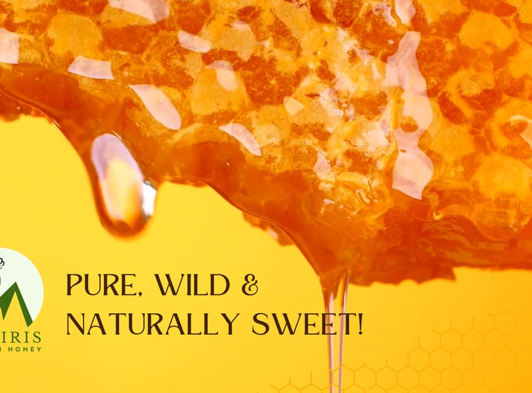 a honey comb prue wild natural honey yammy in Ooty 