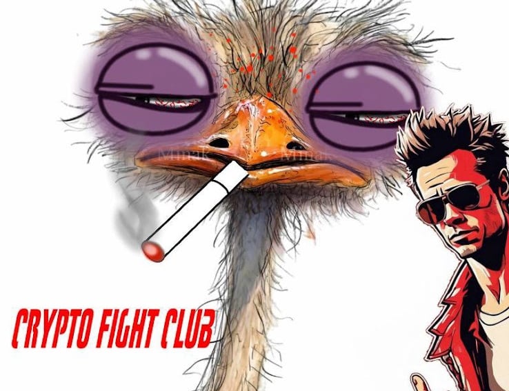 Crypto Fight Club $SOAP @CFConSolana