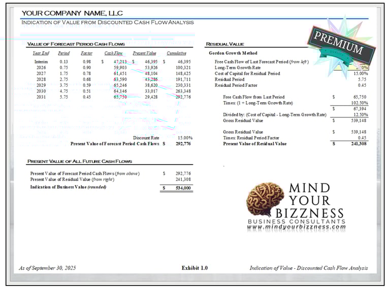 Analysis showing the indication of business value from a discounted cash low analysis