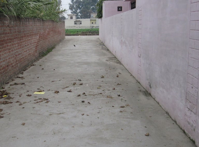 Street in Village Dhingrian 