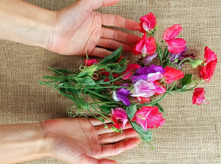 The Reiki Practitioner acts as a conduit for Reiki. Their hands, with flowers, portray Reiki energy.