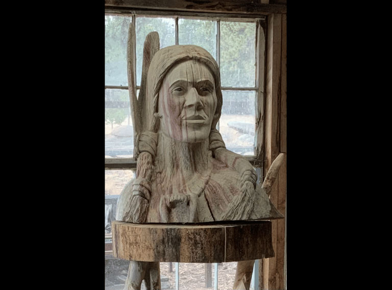 chief Rain in the face. Sculpted from Colorado ponderosa pine red beetle kill