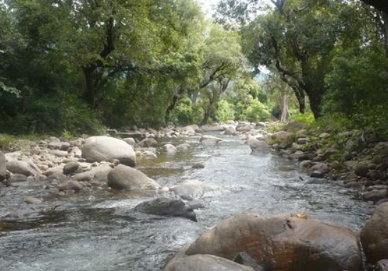 Ayyanar Falls, Rajapalayam