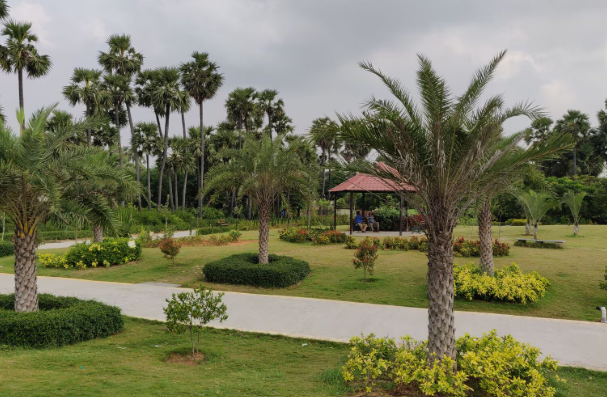 Botanical Garden, Semmedu