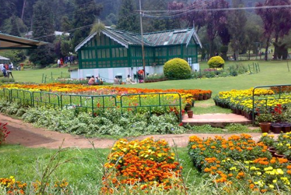 Bryant Park dIndigul