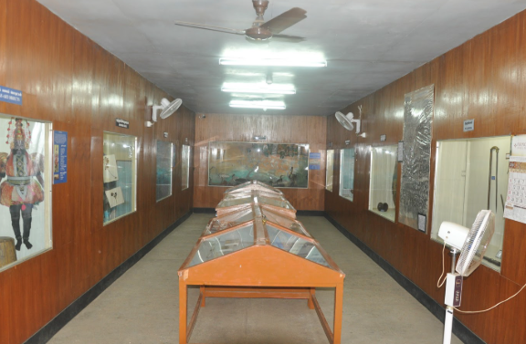 Government Museum, Krishnagiri