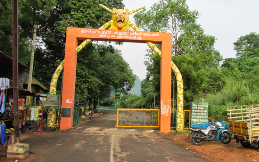 Kalakad Mundanthurai Tiger Reserve (Kalakkad Range)