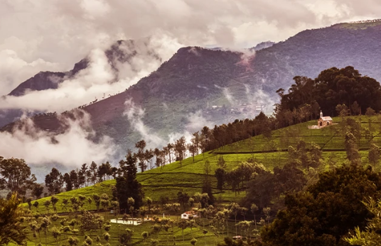 Kotagiri