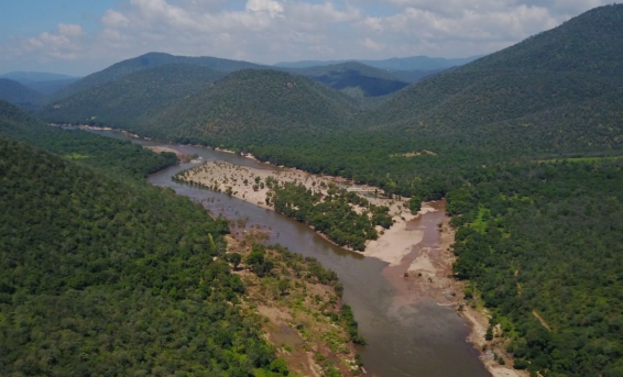 Krishnagiri Forest Reserve