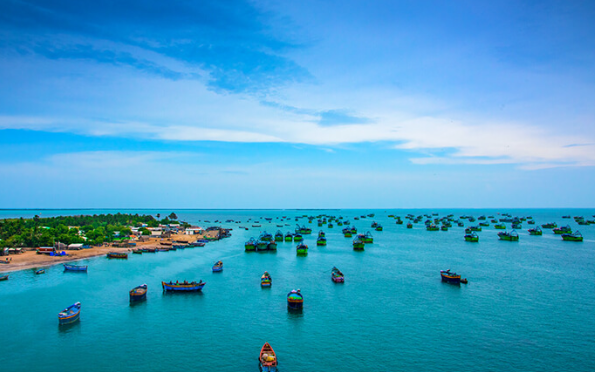 Kurusadai Island