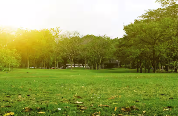 Manavala Nagar Park and Lake