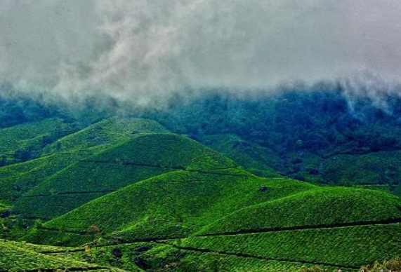 Meghamalai (High Wavy Mountains)
