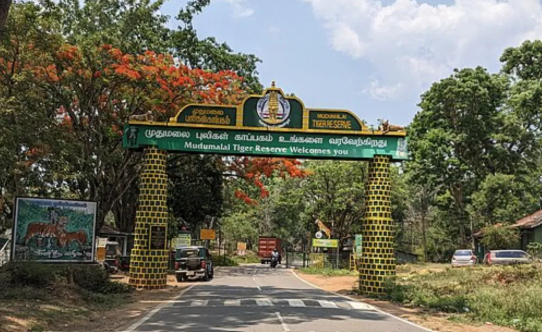 Mudumalai National Park