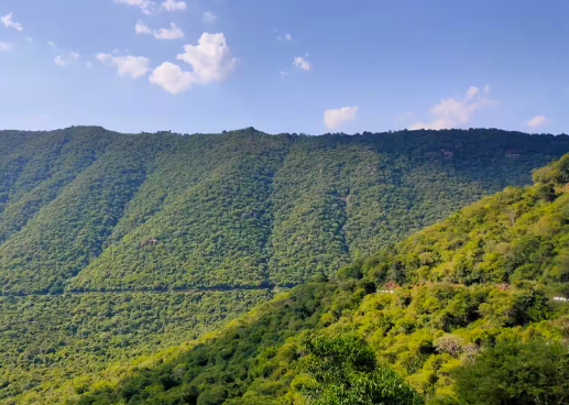 Pachamalai Hills (Nearby Excursion)