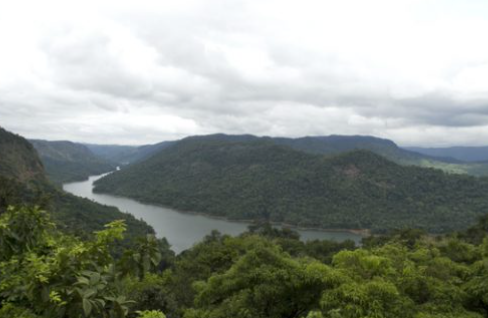 Palar River Bank