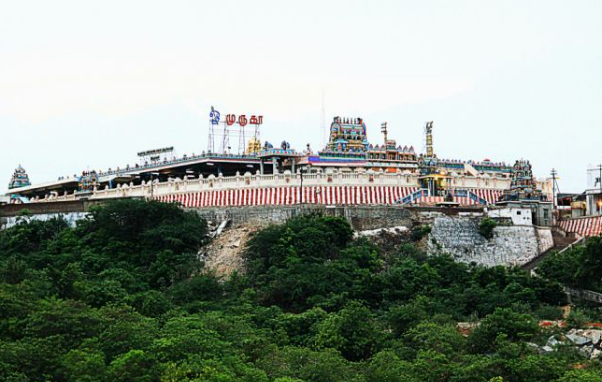 Pazhamudhir Solai