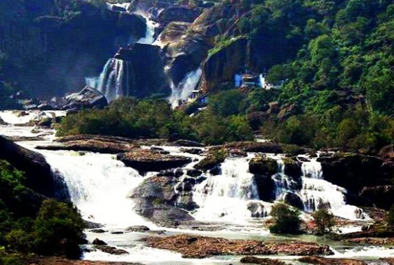 Puliancholai Falls and Forest Trek