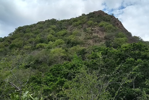Sathuragiri Hills