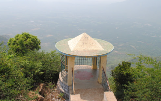 Selur Viewpoint