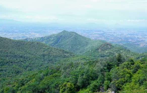 Sirumalai Hills