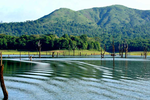 Thekkady (Accessed from Theni Side)