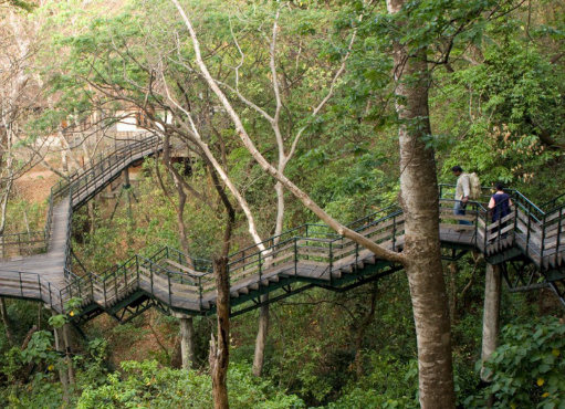 Thenmala Ecotourism (Nearby)