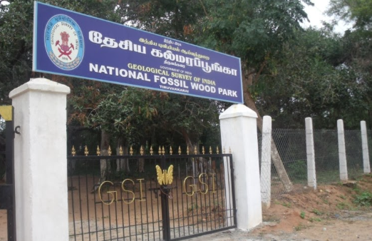 Thiruvakkarai Chandramouleeswarar Temple & Fossil Wood Park