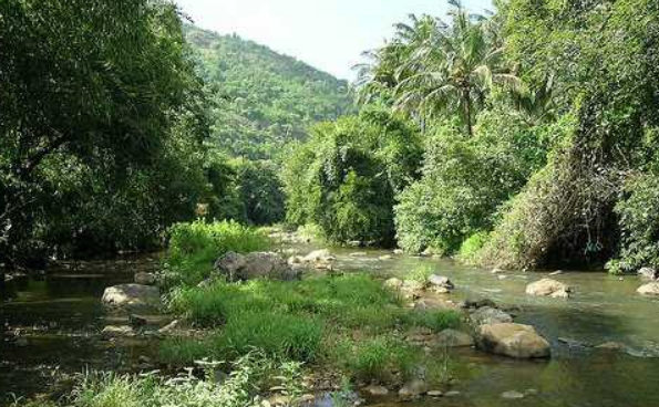 Vydehi Falls