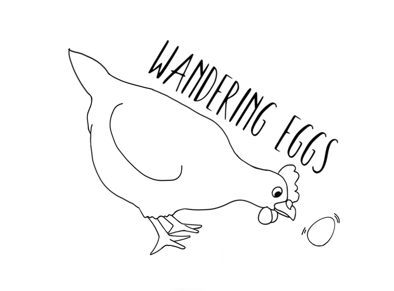 a cha beautiful chicken looking curiously at its freshly layed egg