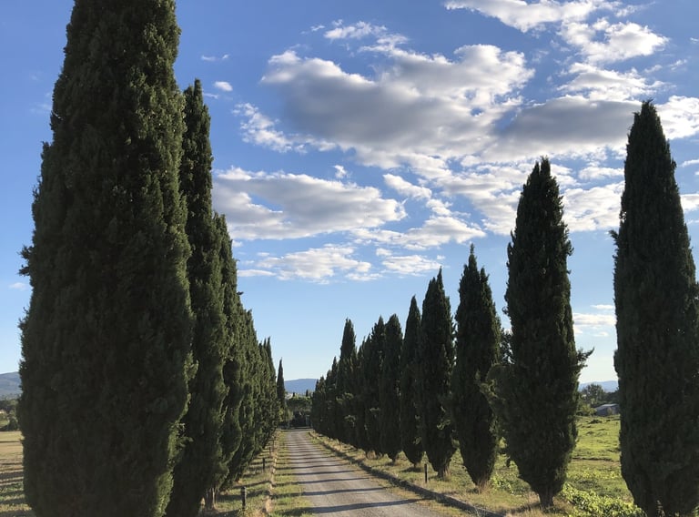 private van, ncc, wedding, events, florence, chianti