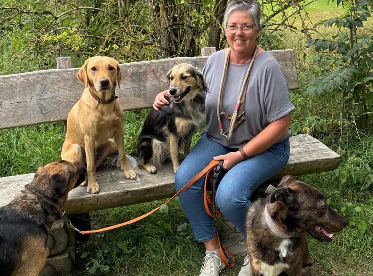 Marion mit ihren eigenen Hunden Nele, Winni und Milo und Pensionshund Ben.