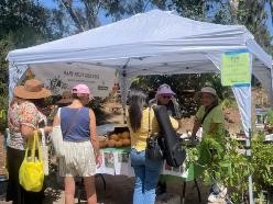 People shopping at a popup booth