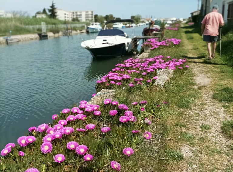 B. walks back towards our mooring to collect our car.