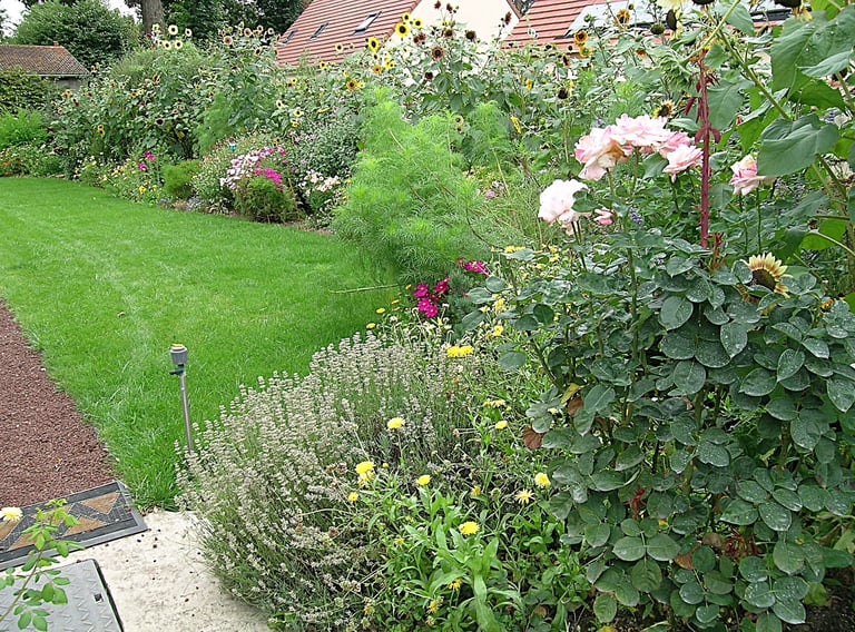 Jardin en longueur - haut du jardin