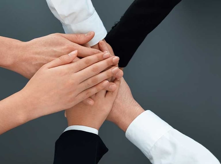 Acerca de Cepra - Experiencia