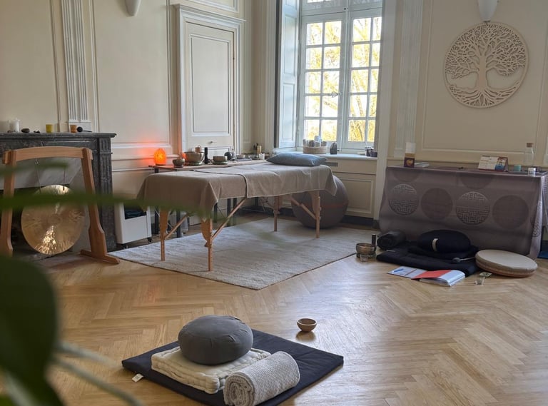 cabinet chateau du pé st jean de boiseau christophe meunier magnetiseur energeticien