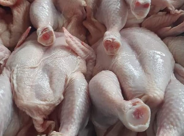 Biggest Chicken Exporters in Pakistan