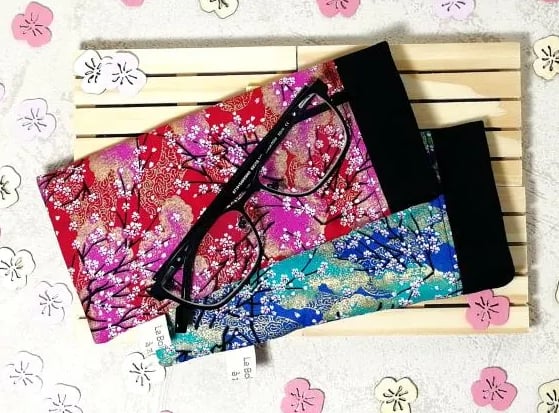 2 étuis à lunettes