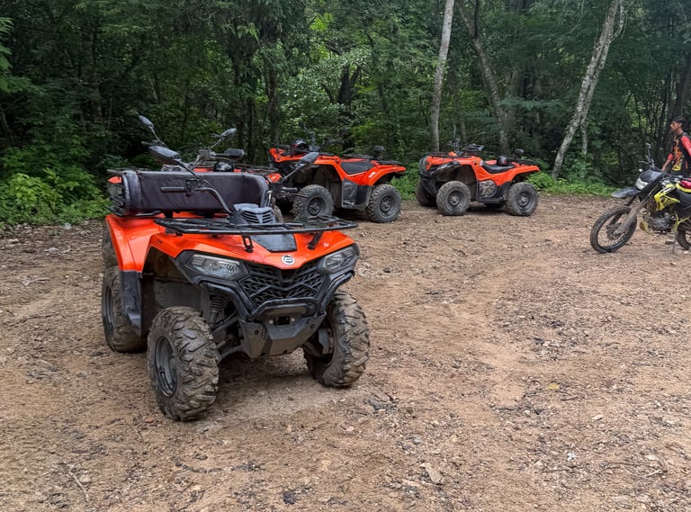 A group of four wheelers