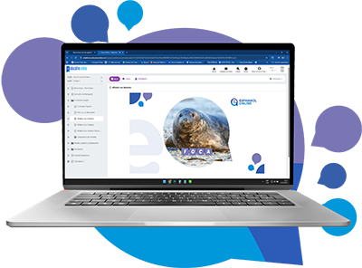 Como funciona o curso de Espanhol Online