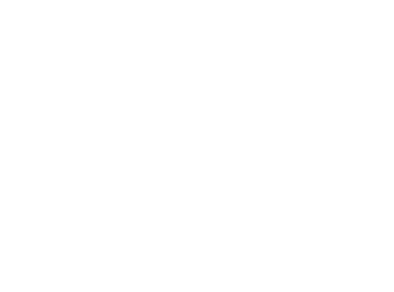 MadCap