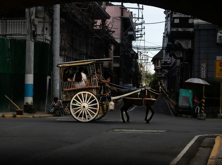 a horse drawn carriage in the middle of a city