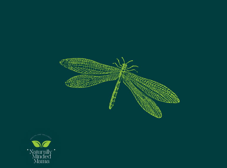 a dragonfly