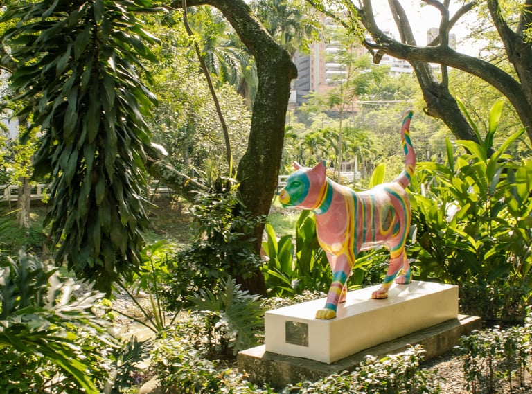 la gata a la orilla del rio