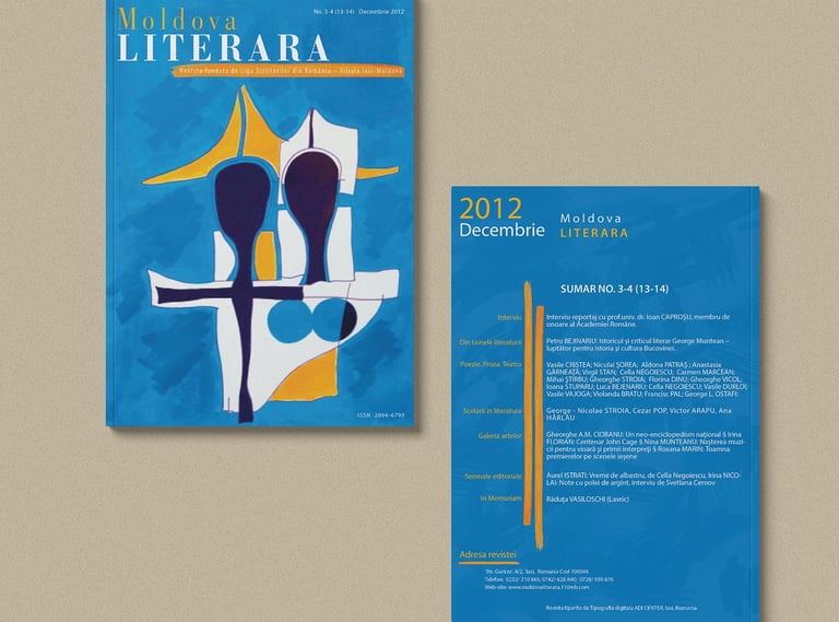 a magazine cover design (front and back)