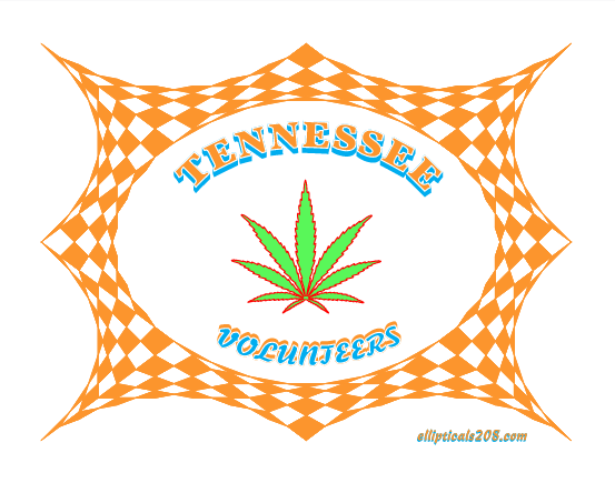 Tennessee Volunteers graphic featuring a green cannabis leaf on an orange and white checkerboard background.